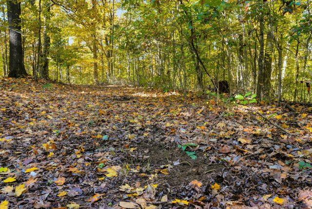 4300 Bull Run Rd, Ashland City, TN 37015