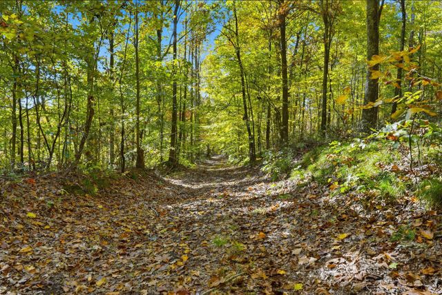 4300 Bull Run Rd, Ashland City, TN 37015
