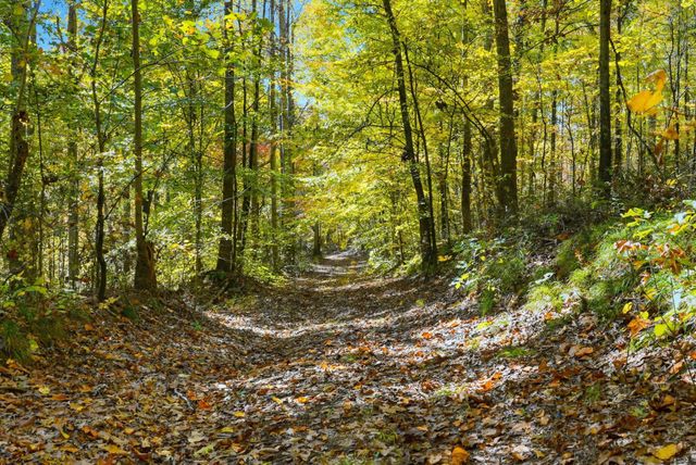 4300 Bull Run Rd, Ashland City, TN 37015