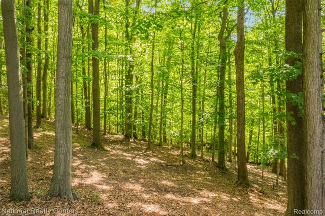 20173 W Whipple Drive, Northville Township, MI 48167