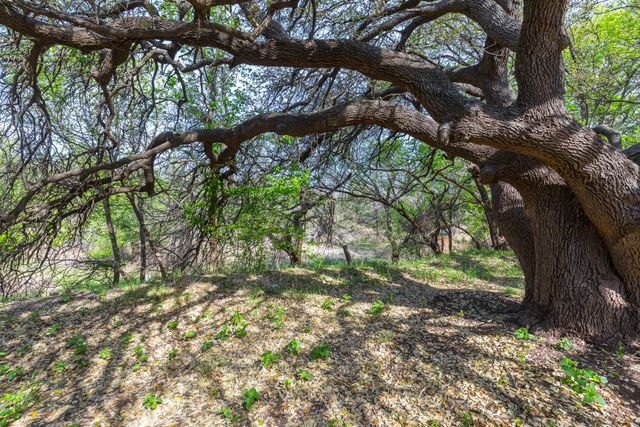 749 Cedar Street, Buffalo Gap, TX 79601