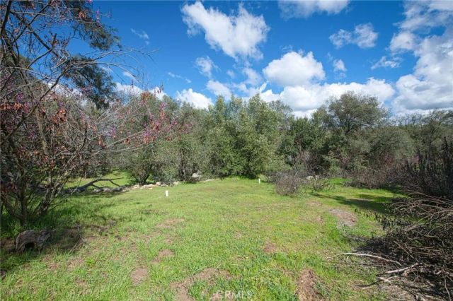 4853 Daffodil, Mariposa, CA 95338