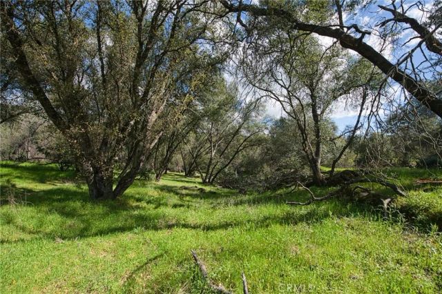 4853 Daffodil, Mariposa, CA 95338