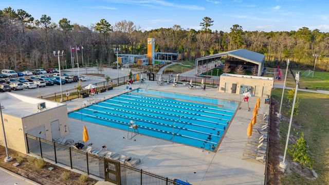 31407 Falling Cedar Court, Spring, TX 77386