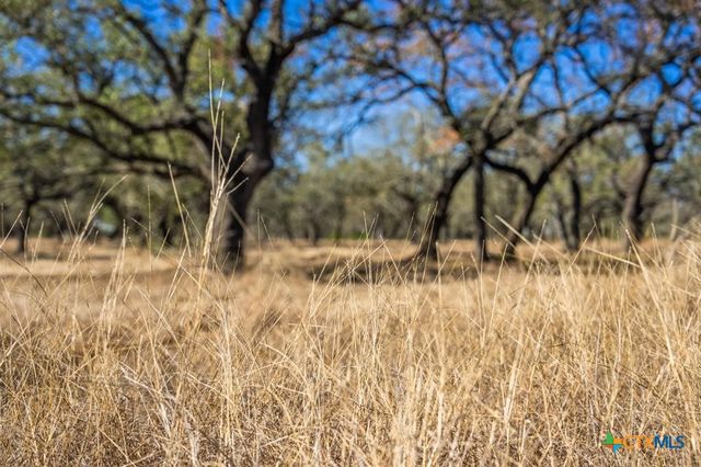 4772-1 County Road 340, Burnet, TX 76905