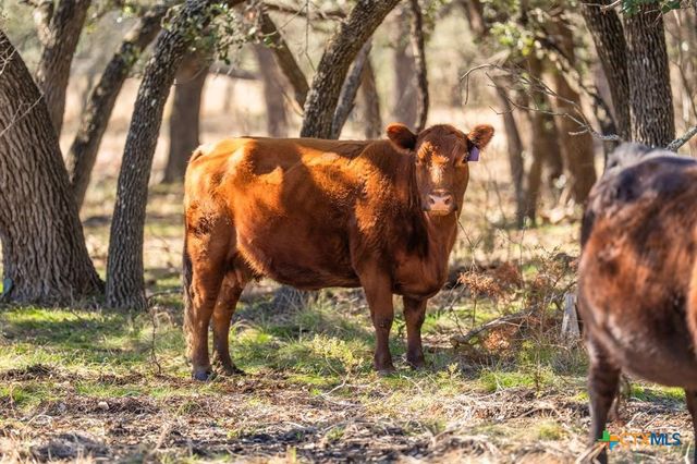 4772-1 County Road 340, Burnet, TX 76905