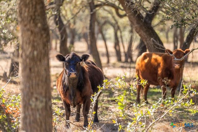 4772-1 County Road 340, Burnet, TX 76905