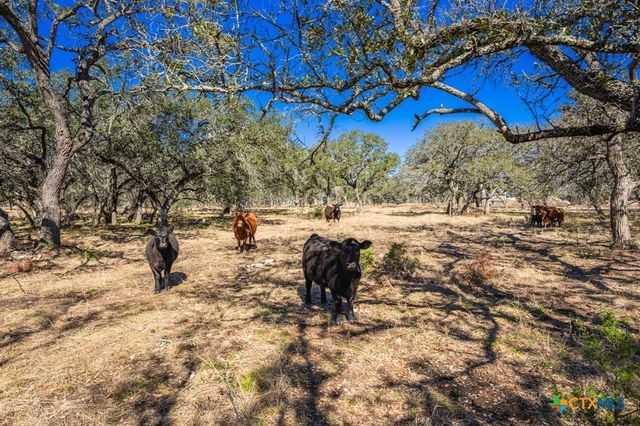 4772-1 County Road 340, Burnet, TX 76905