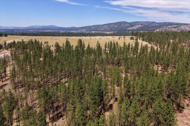 11XXX Nine Mile Rd, Nine Mile Falls, WA 99026