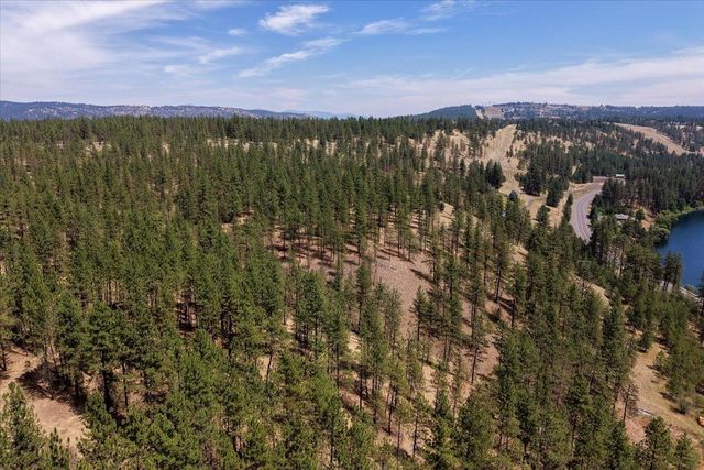 11XXX Nine Mile Rd, Nine Mile Falls, WA 99026