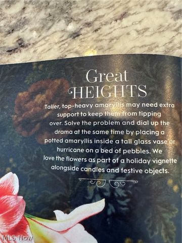 374 Tenney Avenue, Youngstown, OH 44405