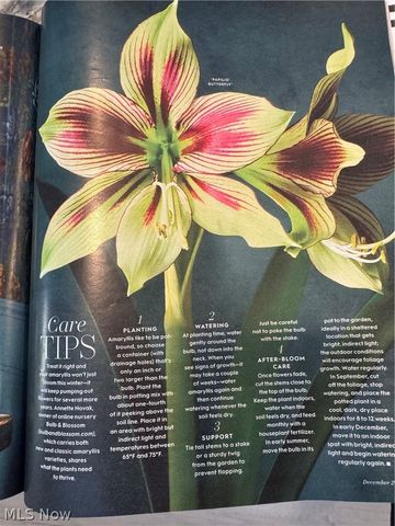 374 Tenney Avenue, Youngstown, OH 44405