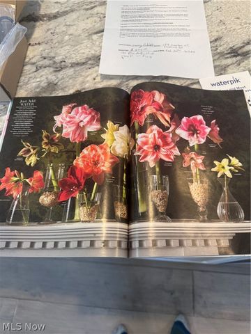 374 Tenney Avenue, Youngstown, OH 44405