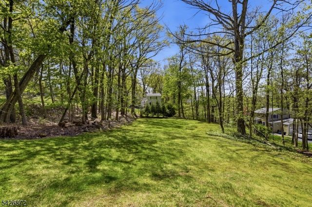100 Old Fort Rd, Bernardsville Boro, NJ 07924