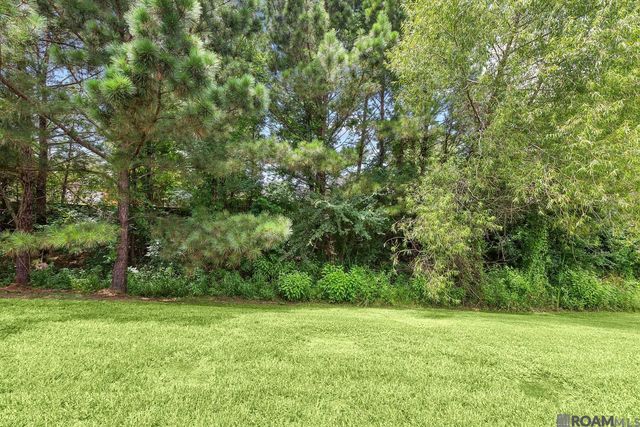 10564 Braves Ave, Denham Springs, LA 70726