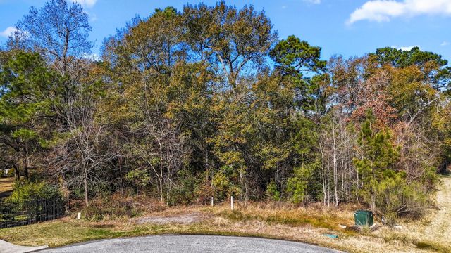 3707 Skyoak Court, Spring, TX 77386