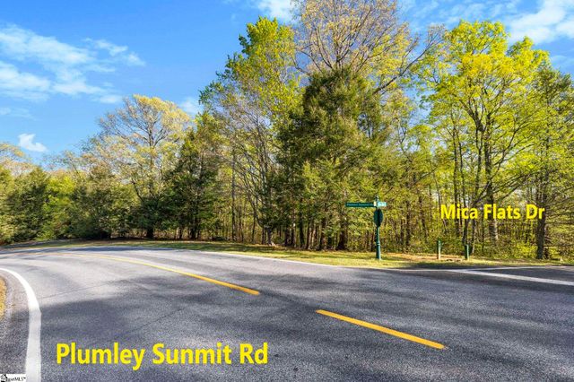 2 Little Boulder Drive, Landrum, SC 29356