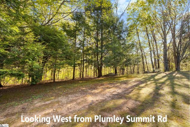 2 Little Boulder Drive, Landrum, SC 29356