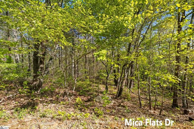 2 Little Boulder Drive, Landrum, SC 29356