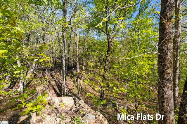 2 Little Boulder Drive, Landrum, SC 29356