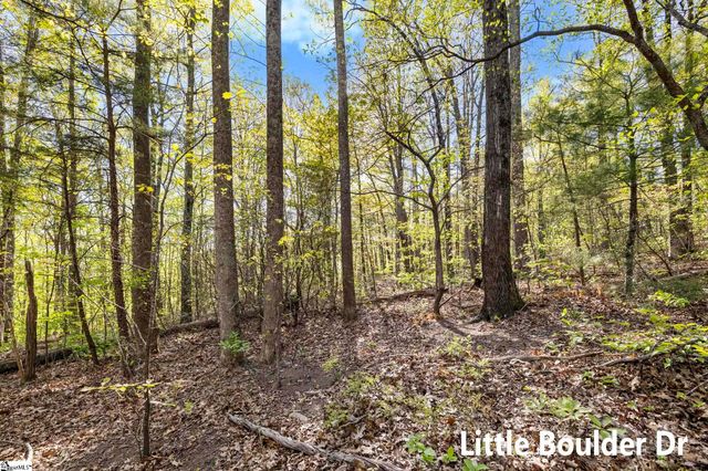 2 Little Boulder Drive, Landrum, SC 29356