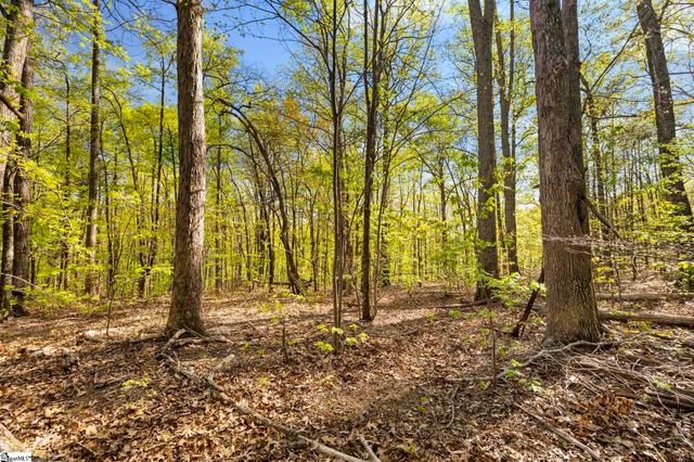 2 Little Boulder Drive, Landrum, SC 29356