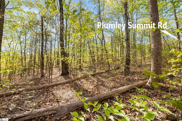 2 Little Boulder Drive, Landrum, SC 29356