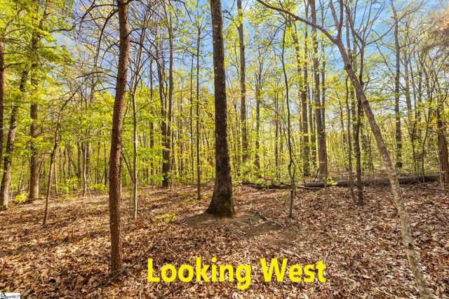 2 Little Boulder Drive, Landrum, SC 29356