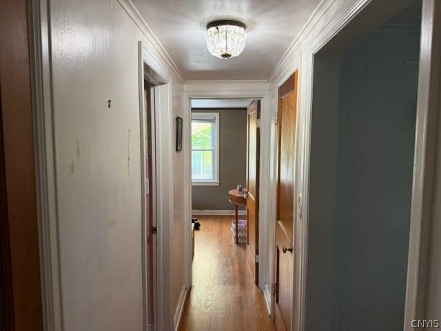 127 Merrill Street, Syracuse, NY 13208