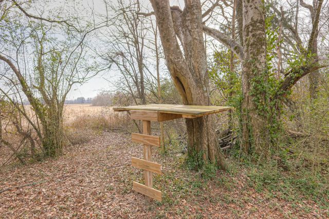 115 Darnell Dr, Tullahoma, TN 37388