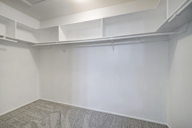 5005 Georgi Lane 51, Houston, TX 77092