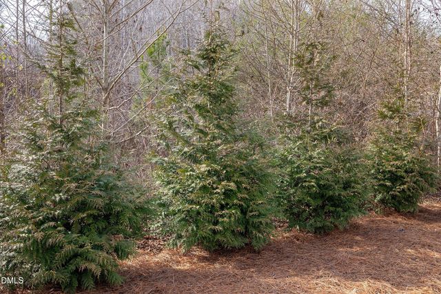 5 Anna Marie Way, Youngsville, NC 27596