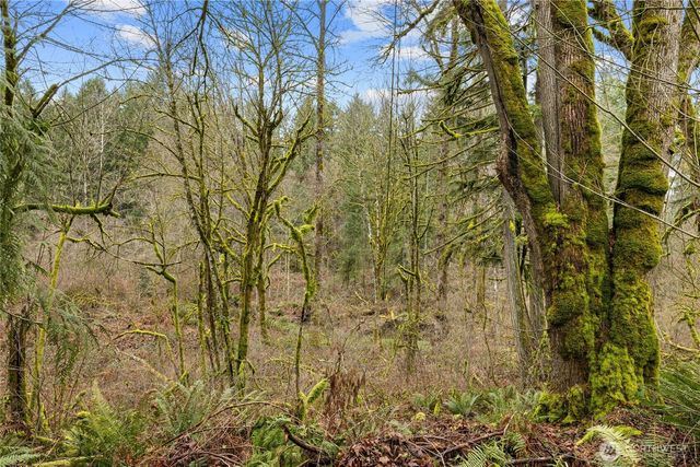 24710 217th Avenue SE, Maple Valley, WA 98038