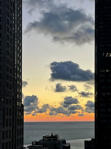 57 E Delaware Place 3804, Chicago, IL 60611