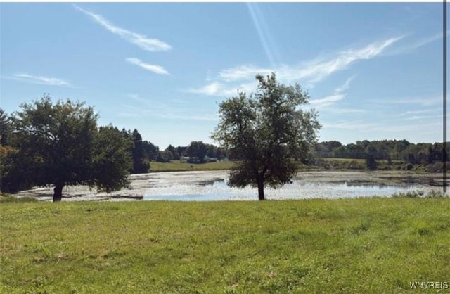 3585 Roszyk Hill Road, Machias, NY 14101