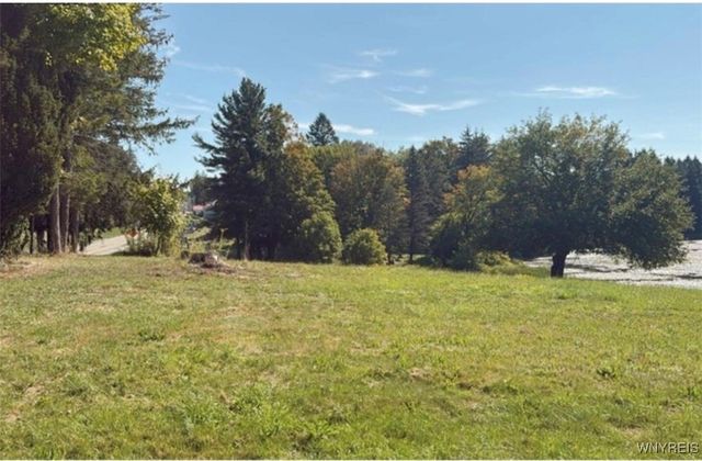 3585 Roszyk Hill Road, Machias, NY 14101