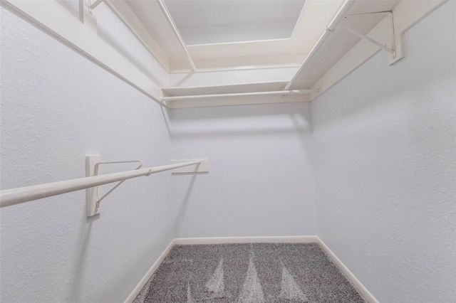 11830 Thoreau Drive, Montgomery, TX 77356