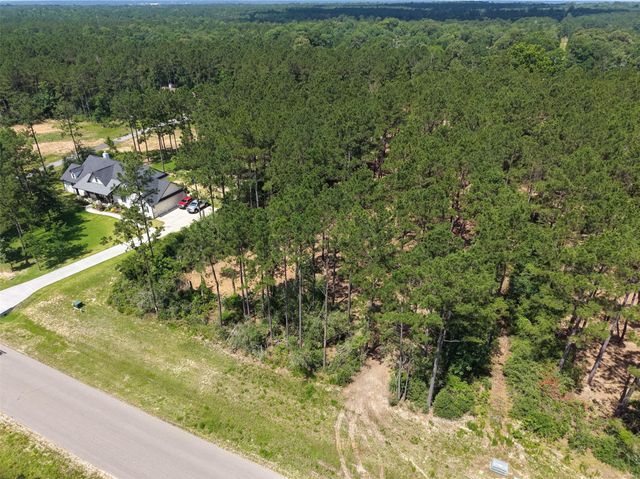 15625 Forest Grove Drive, Willis, TX 77378