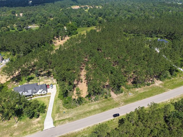 15625 Forest Grove Drive, Willis, TX 77378