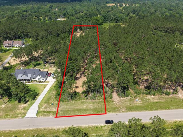 15625 Forest Grove Drive, Willis, TX 77378