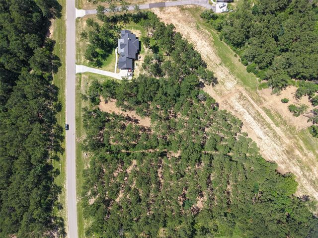 15625 Forest Grove Drive, Willis, TX 77378