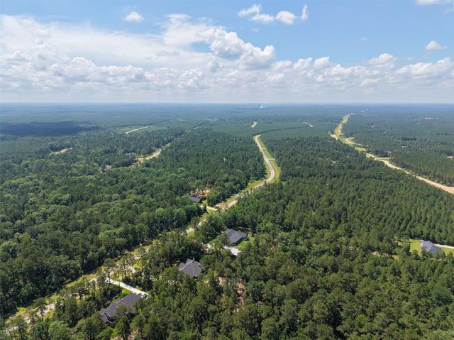 15625 Forest Grove Drive, Willis, TX 77378
