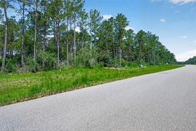 15625 Forest Grove Drive, Willis, TX 77378