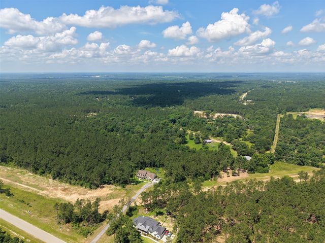 15625 Forest Grove Drive, Willis, TX 77378