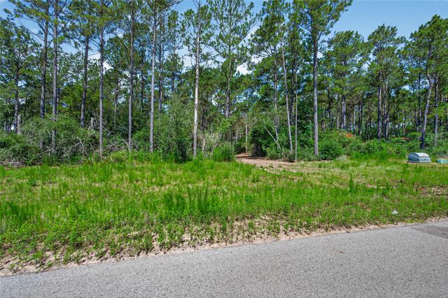 15625 Forest Grove Drive, Willis, TX 77378