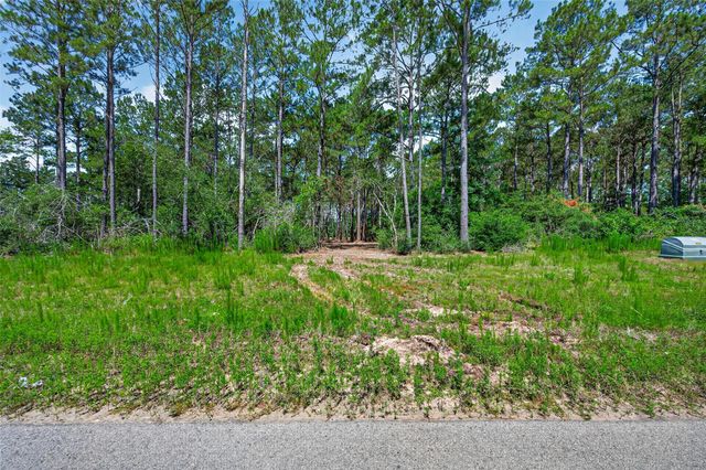 15625 Forest Grove Drive, Willis, TX 77378