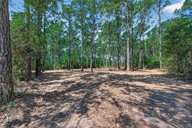 15625 Forest Grove Drive, Willis, TX 77378