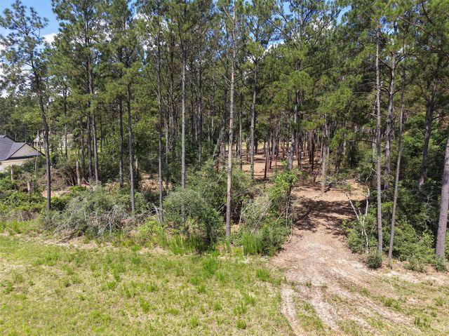 15625 Forest Grove Drive, Willis, TX 77378