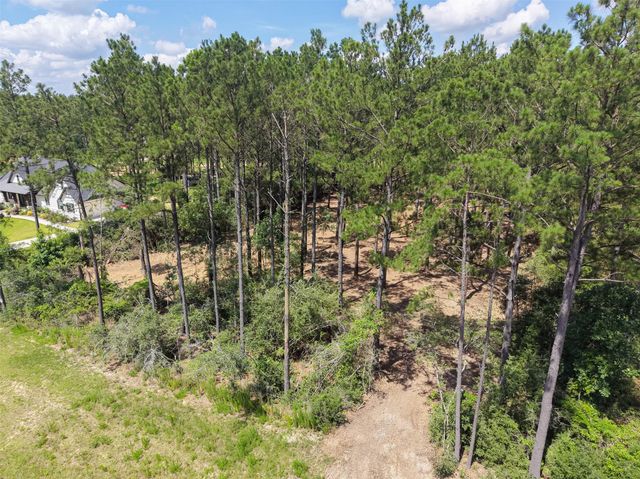 15625 Forest Grove Drive, Willis, TX 77378