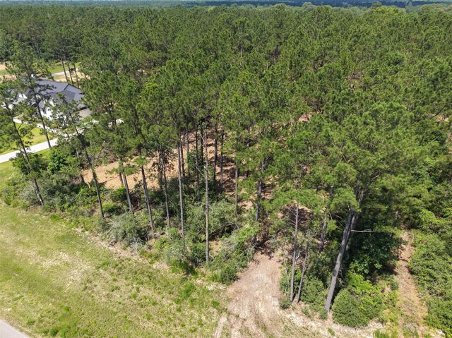 15625 Forest Grove Drive, Willis, TX 77378